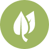 ECO icon in green